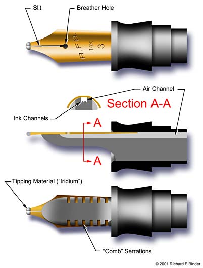 Nib, feed, and section