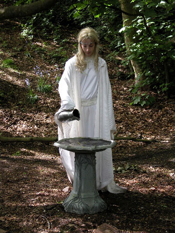 The Mirror of Galadriel