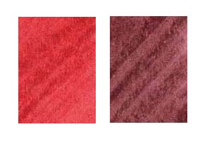 Fiesta Red and Black Cherry
