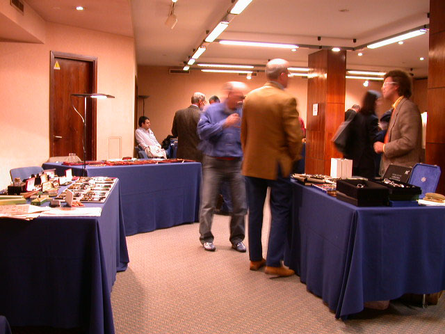 A view of the show